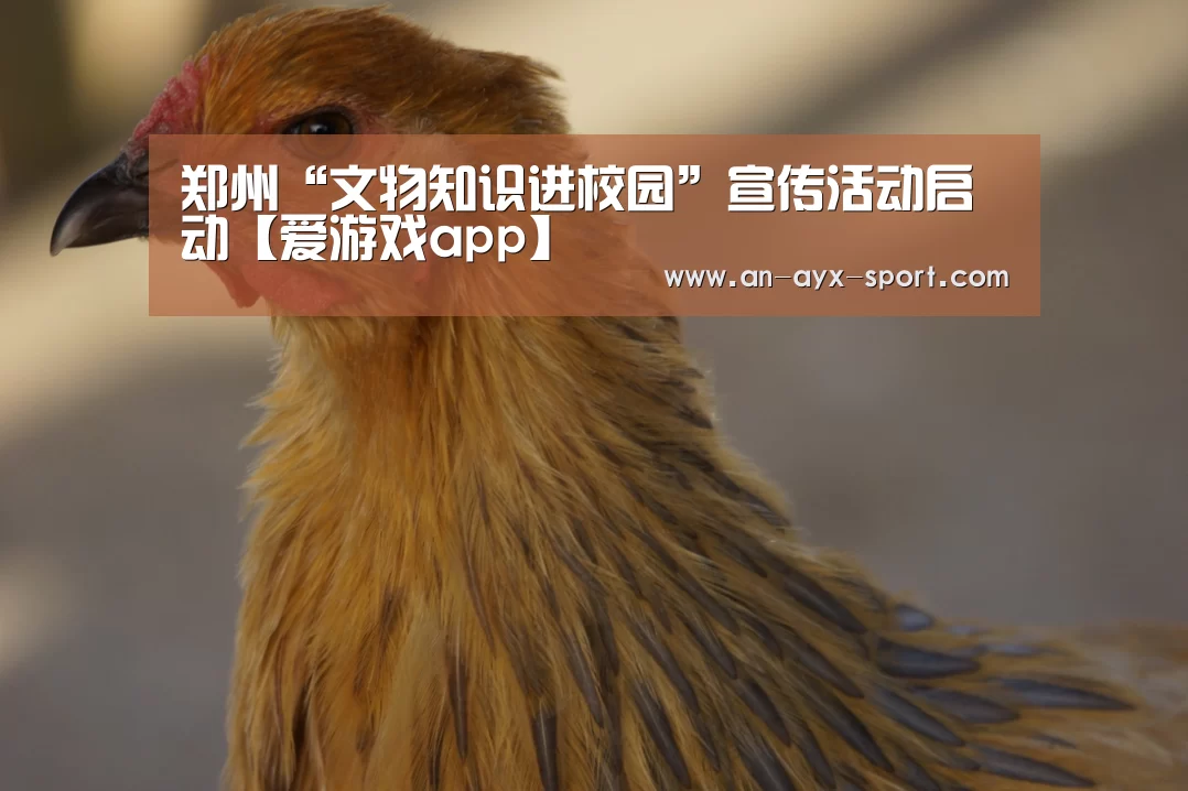 郑州“文物知识进校园”宣传活动启动【爱游戏app】(图1) 爱游戏官方下载